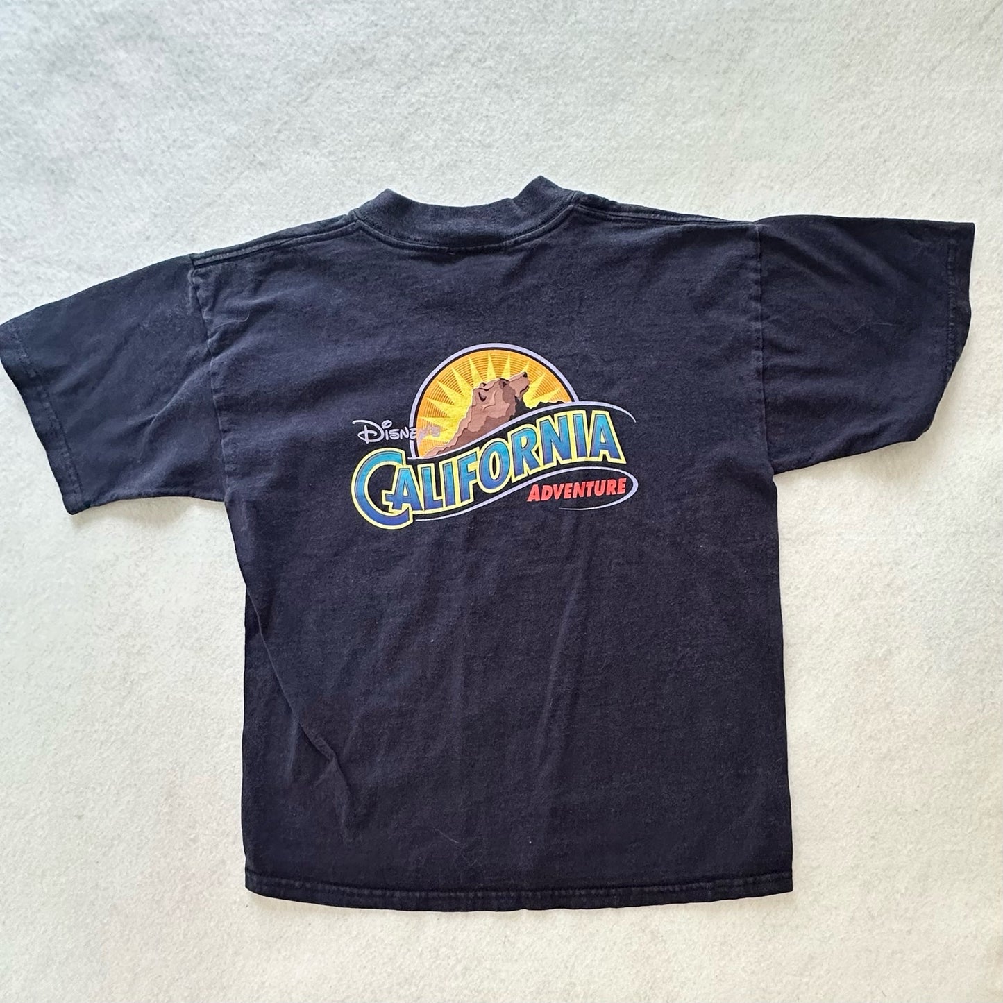 Y2K Disneyland California Adventure Graphic Tee: 12y?