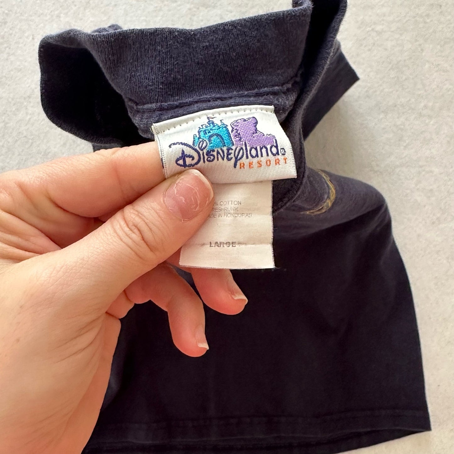 Y2K Disneyland California Adventure Graphic Tee: 12y?