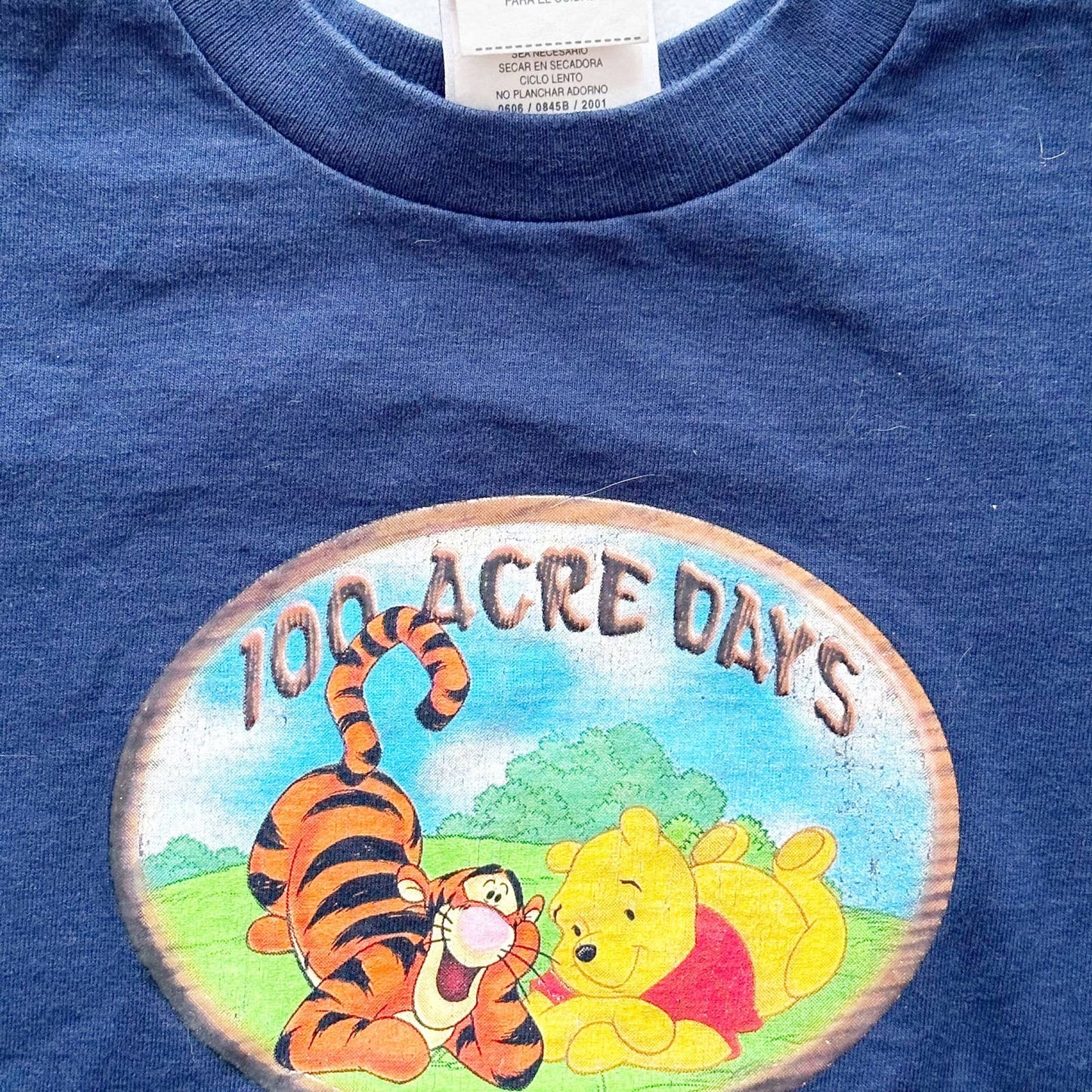 Y2K Winnie the Pooh 100 Acres Tee: 5T