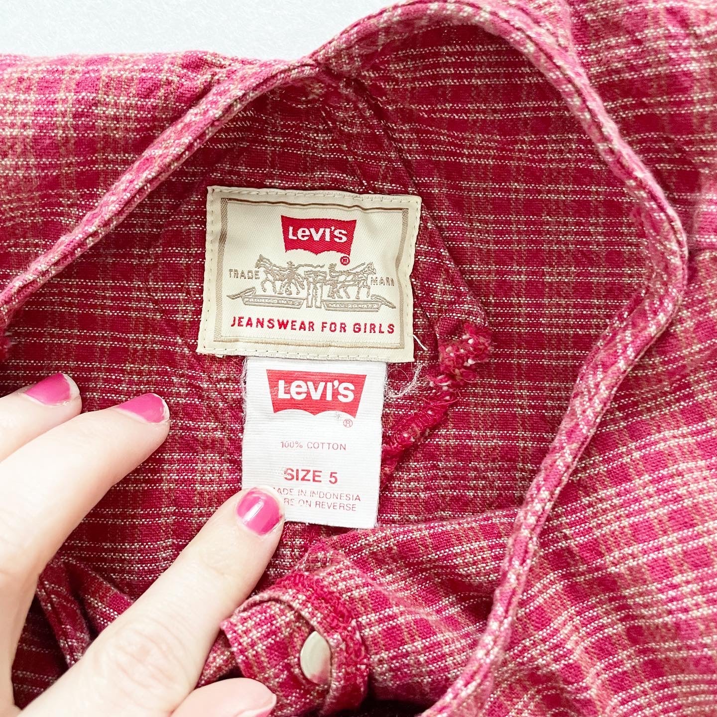 Levi’s Plaid Dress