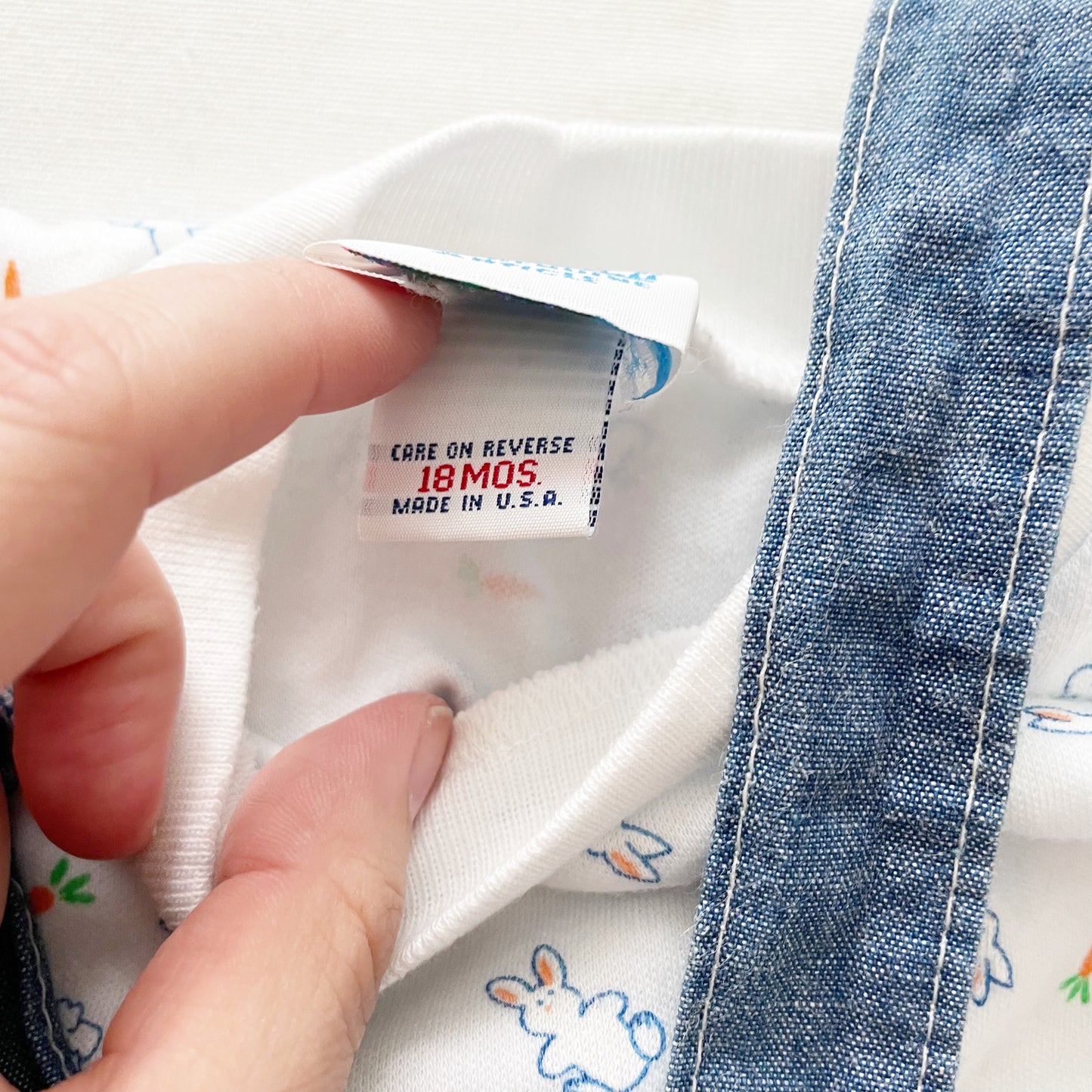 OshKosh Carrots and Bunnies Overalls Set