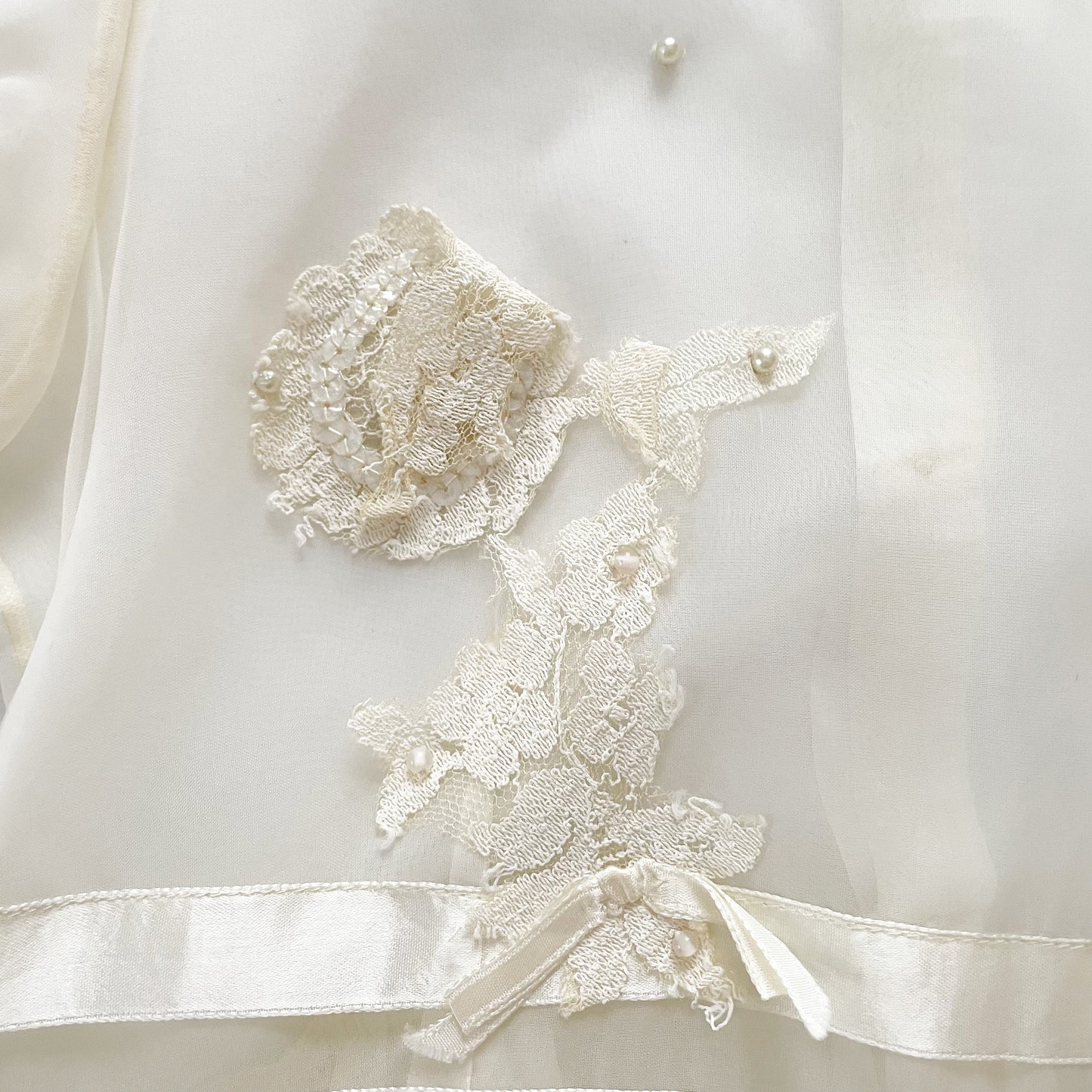 Sheer Lace Appliqué Dress