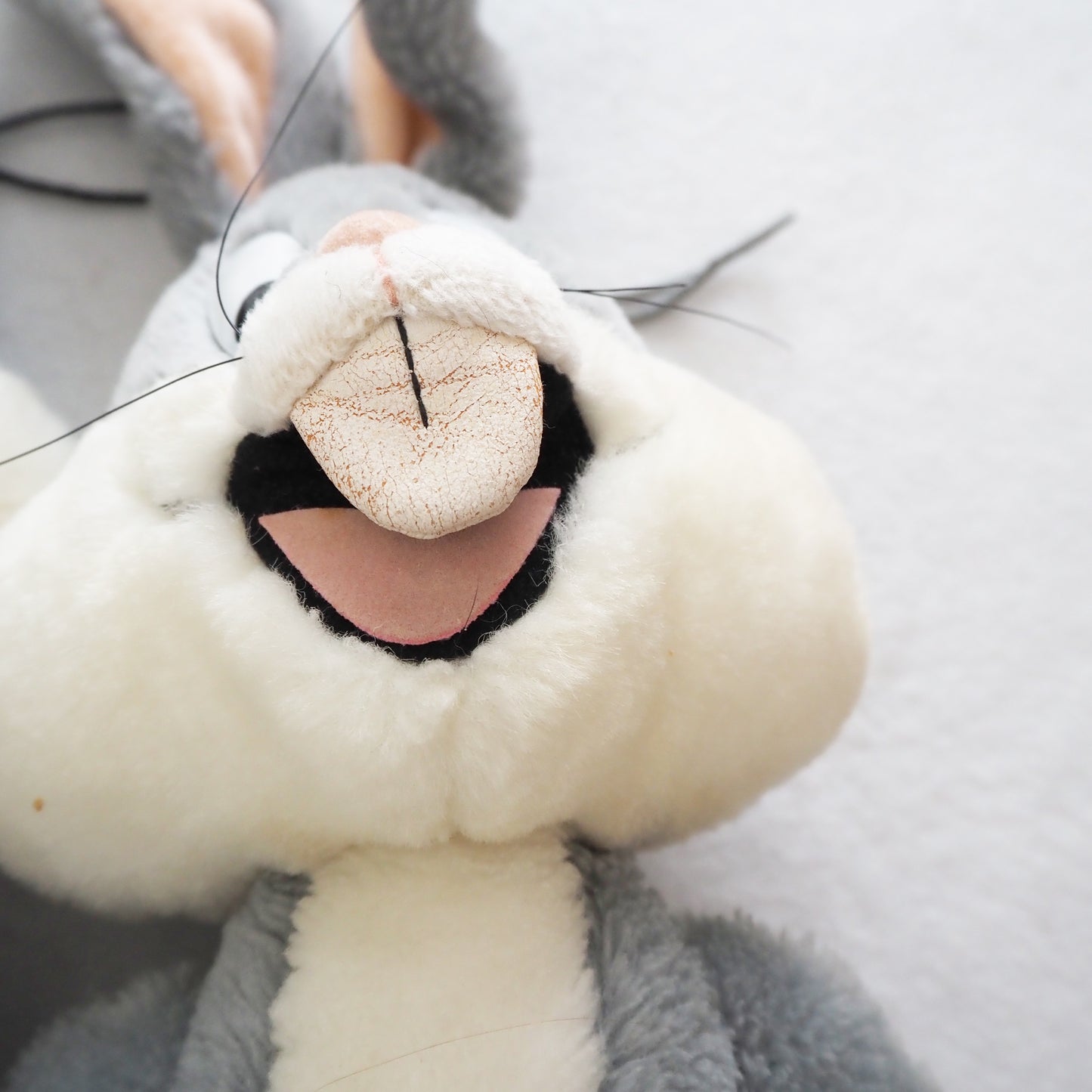 Bugs Bunny and Sylvester Pair