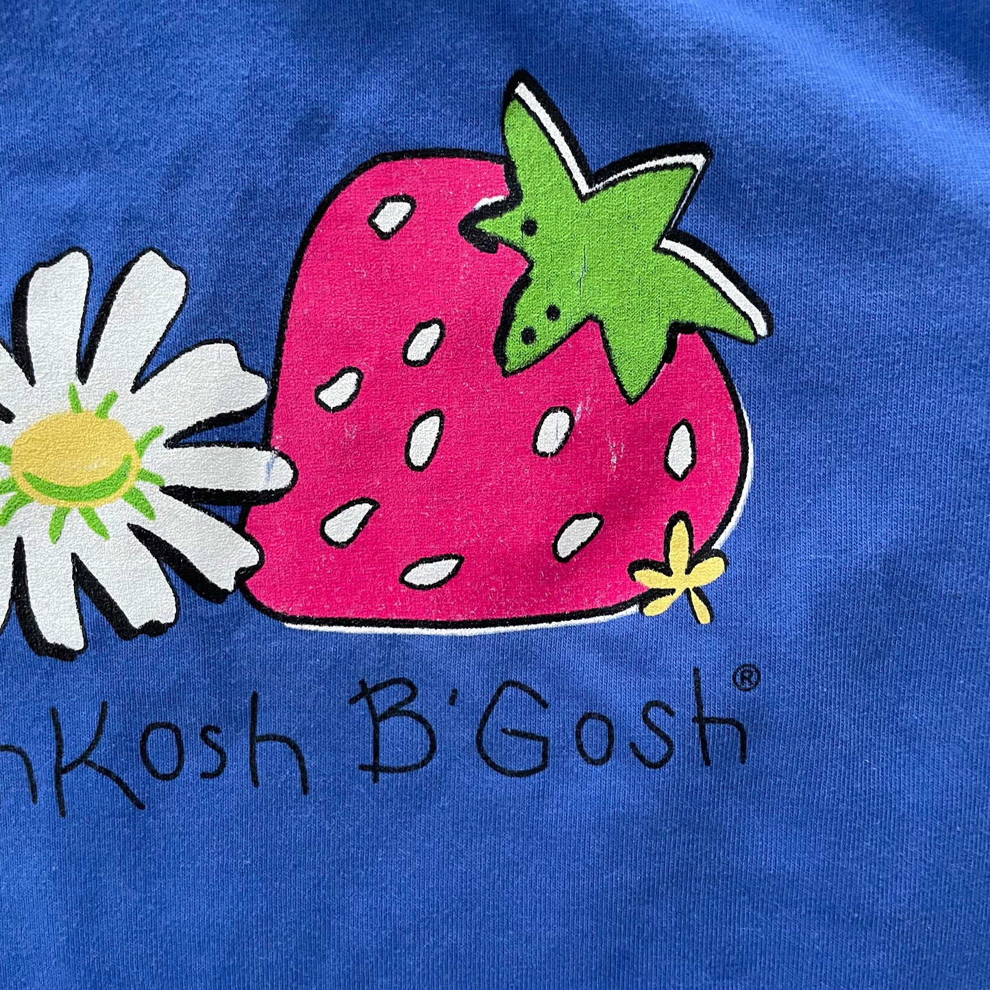 OshKosh Strawberry Daisy Tee
