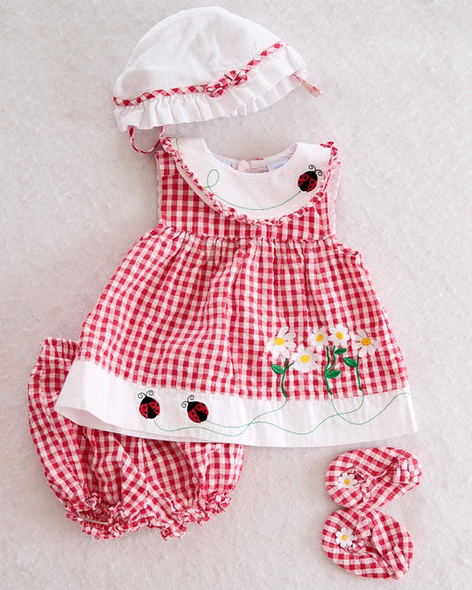 Vintage First Moments Red Gingham Ladybug & Daisy 4-Piece Set: 3-6M - Yellow Clover Vintage Kids Clothes