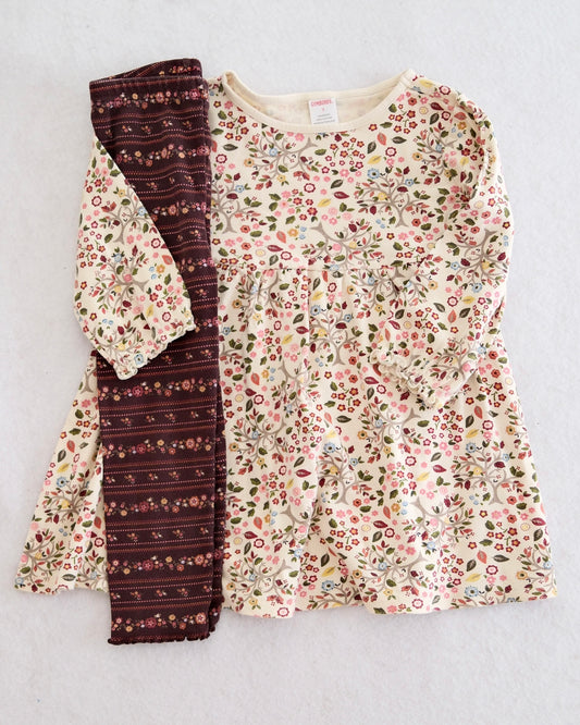 2006 Vintage Gymboree Harvest Leaves Cream Floral Dress + Brown Floral Leggings Set, size 3-3T