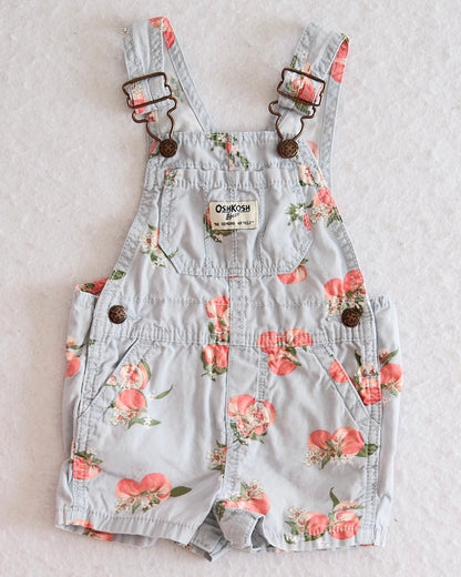 Modern OshKosh B'Gosh Light Blue Peach Shortalls: 12m - Yellow Clover Vintage Kids Clothes