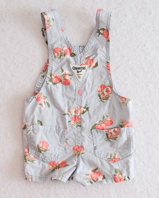 Modern OshKosh B'Gosh Light Blue Peach Shortalls: 12m - Yellow Clover Vintage Kids Clothes