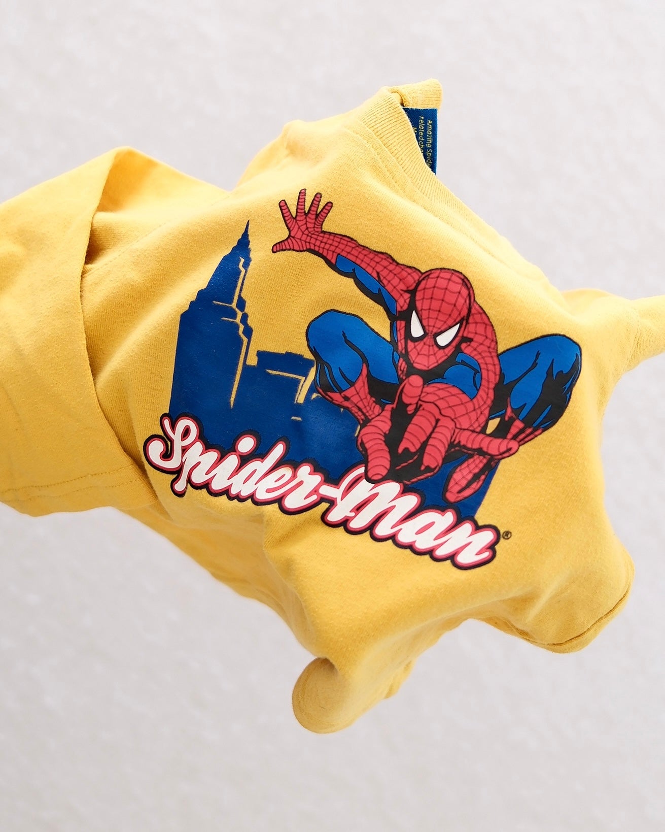 Y2K Amazing Spider-Man Long Sleeve Tee: 24M