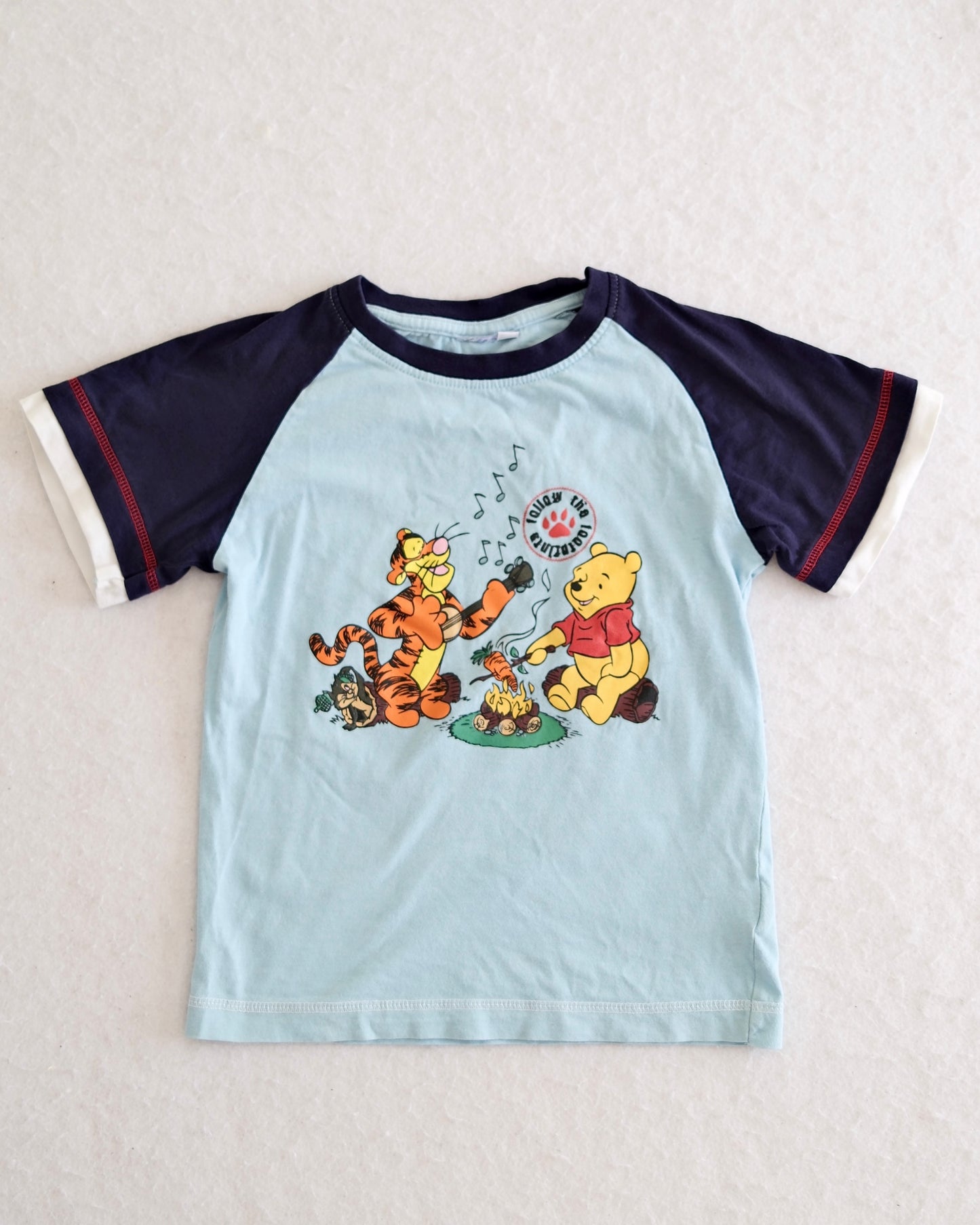 Y2K Kids Euro Disney Winnie the Pooh and Tigger Campfire Tee: 6y