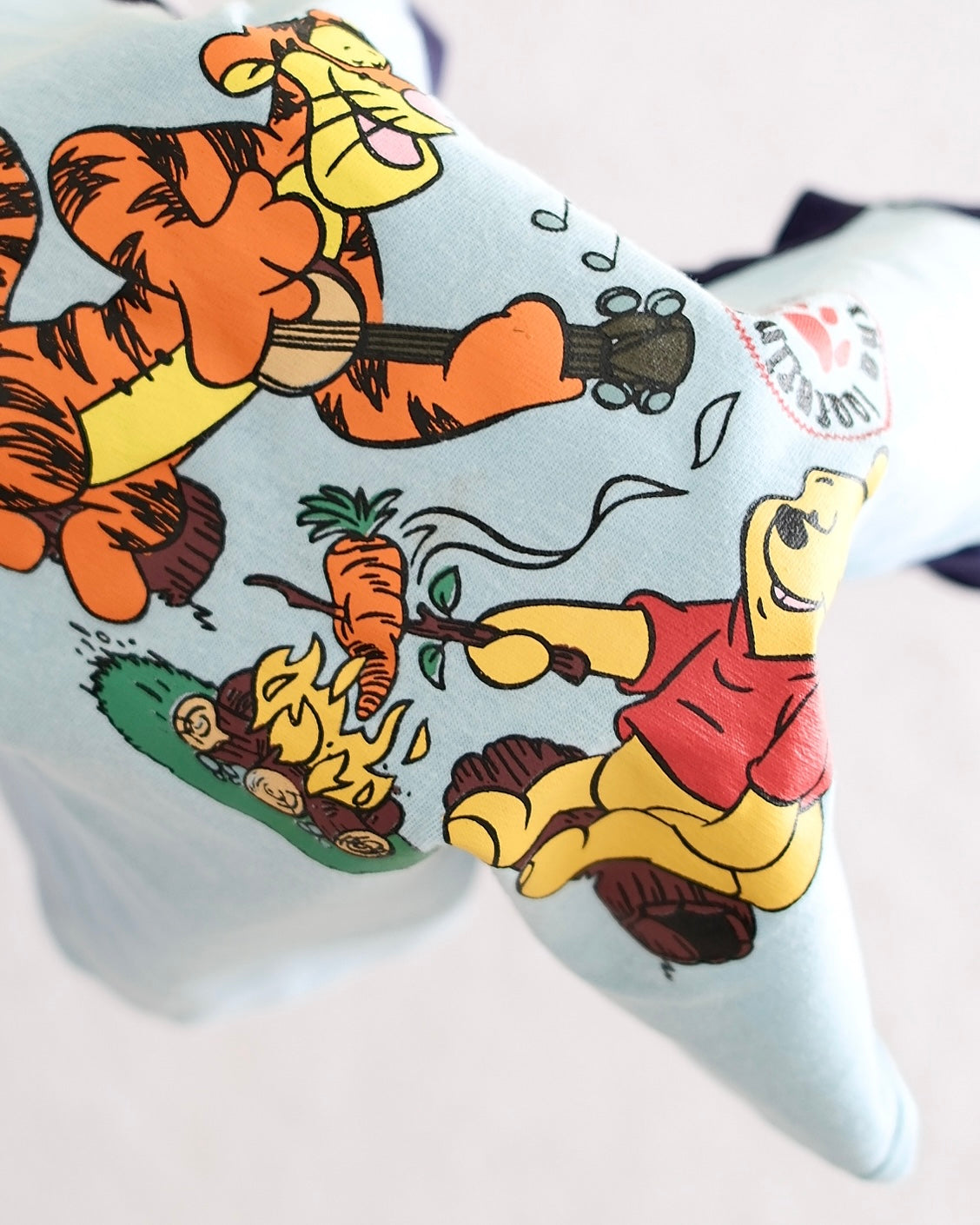 Y2K Kids Euro Disney Winnie the Pooh and Tigger Campfire Tee: 6y