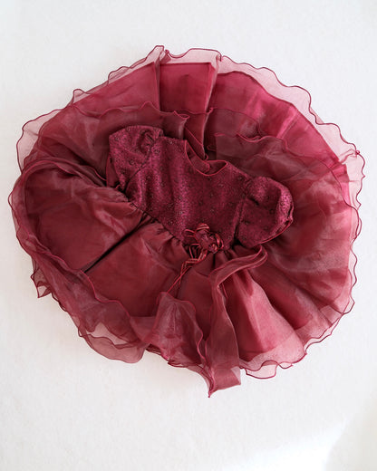 Vintage Burgundy Tulle Baby Party Dress: 24m - Yellow Clover Vintage Kids Clothes