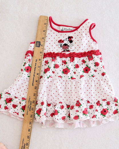 Modern Disney Parks Minnie Mouse Polka Dot Floral Ruffle Dress: 18M