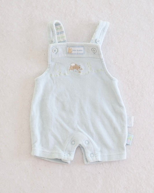 Y2K Peter Rabbit Terry Romper: Preemie