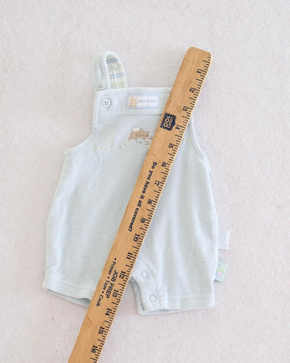 Y2K Peter Rabbit Terry Romper: Preemie