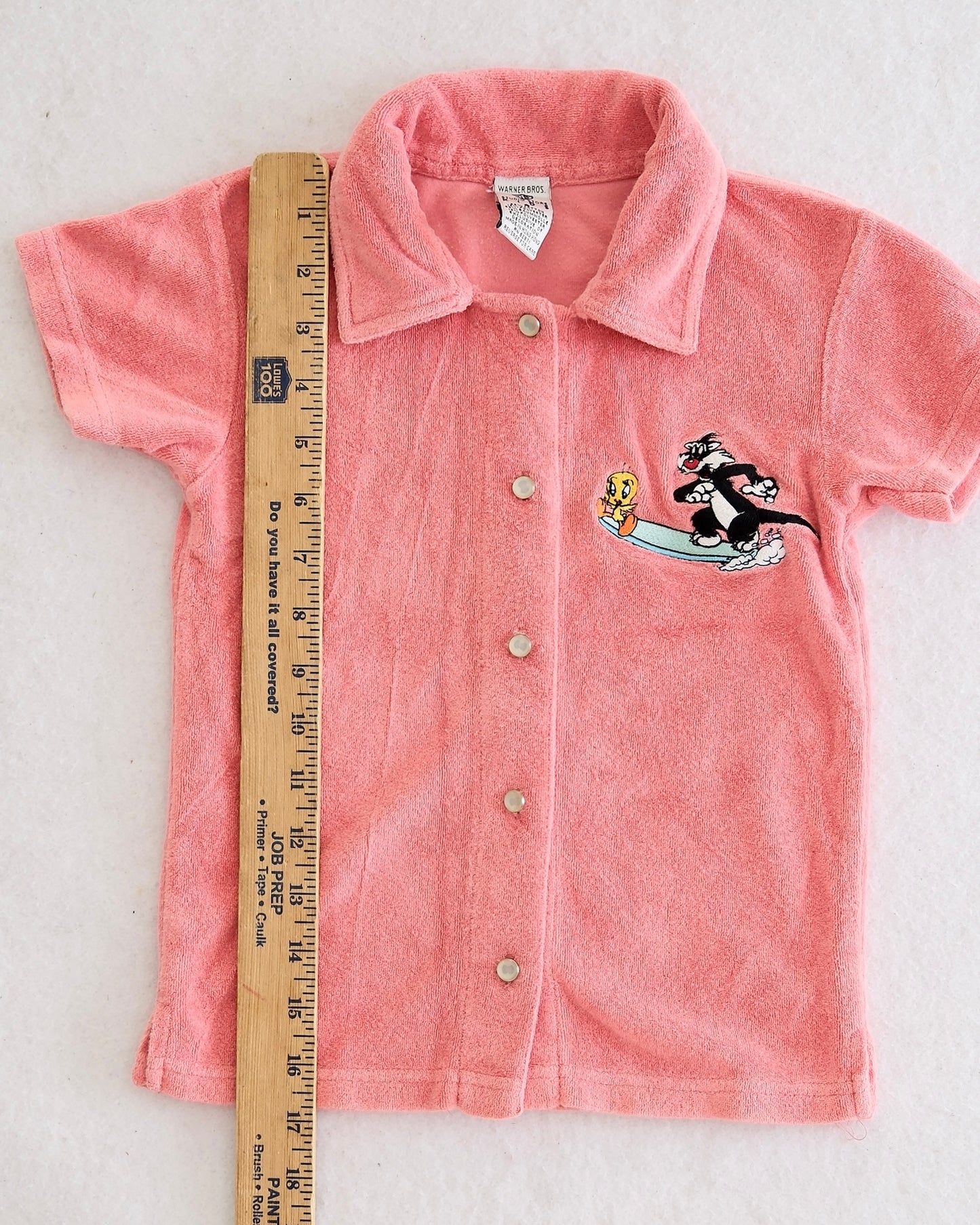 Vintage Warner Bros Sylvester + Tweety Terry Top: 4T?