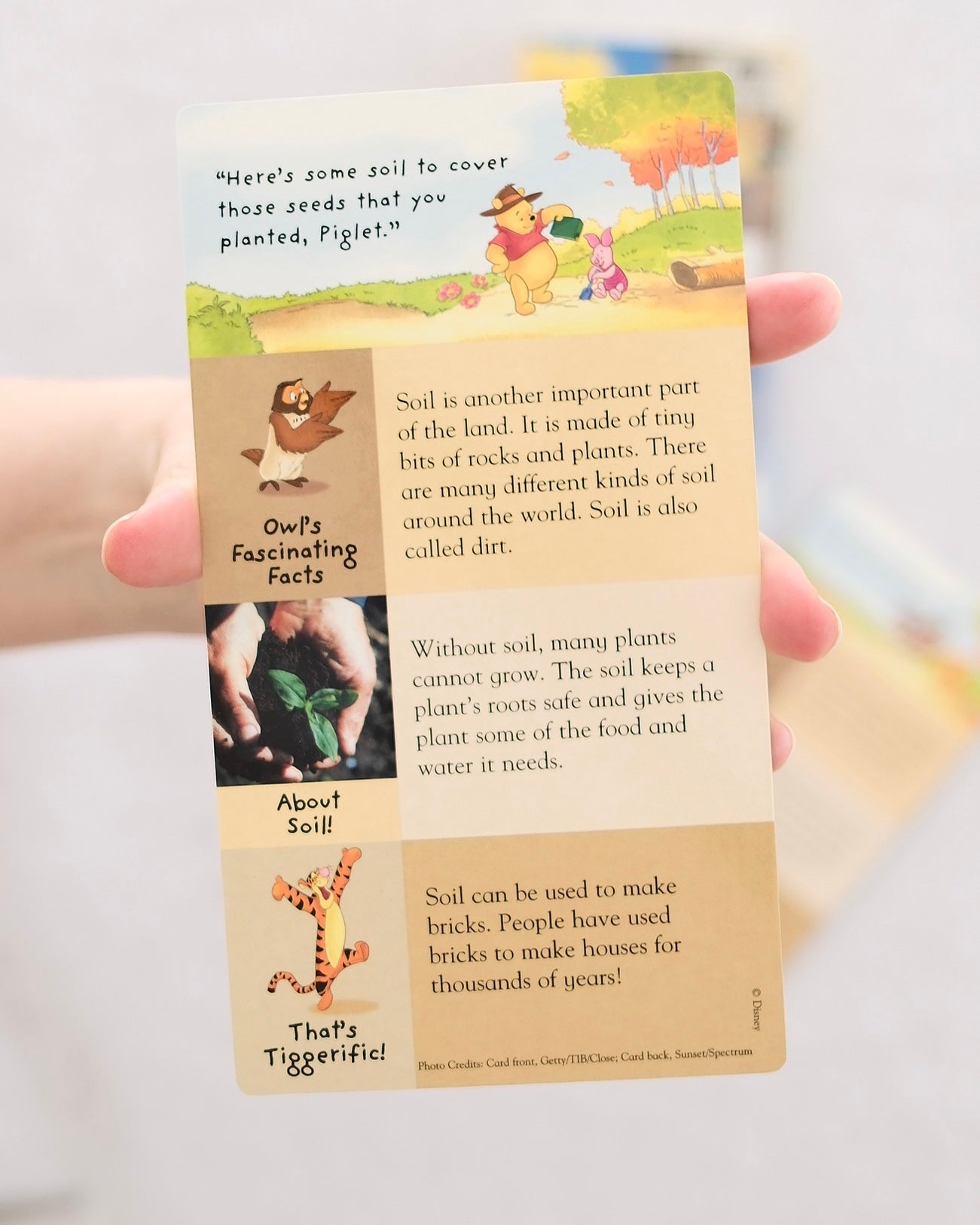 Vintage Disney Winnie the Pooh "Nature Discovery Cards" Set