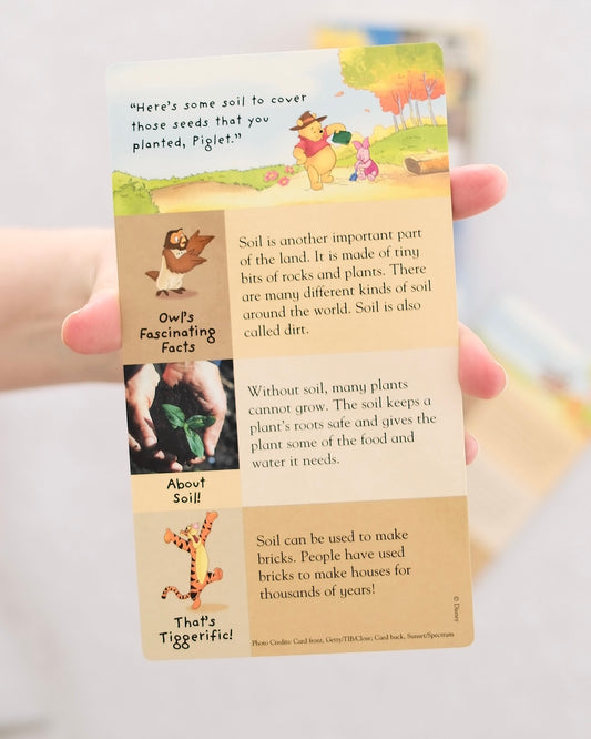Vintage Disney Winnie the Pooh "Nature Discovery Cards" Set