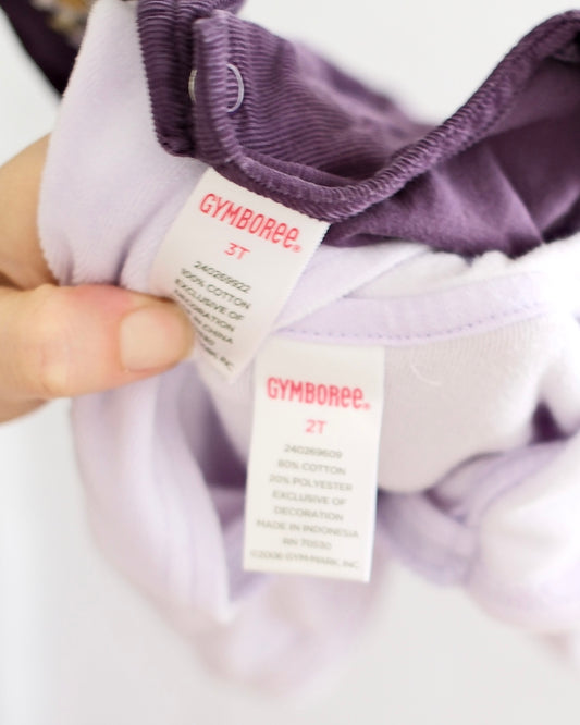 2006 Vintage Royal Gardens Gymboree Purple Corduroy Romper & Lavender Crown Hoodie Set, size 2/3T