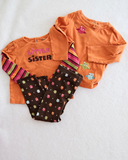 Y2K Gymboree Owl and "Little Sister" Tops + Owl Print Leggings, size 3T