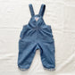 OshKosh Carrots and Bunnies Overalls Set