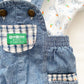 OshKosh Carrots and Bunnies Overalls Set