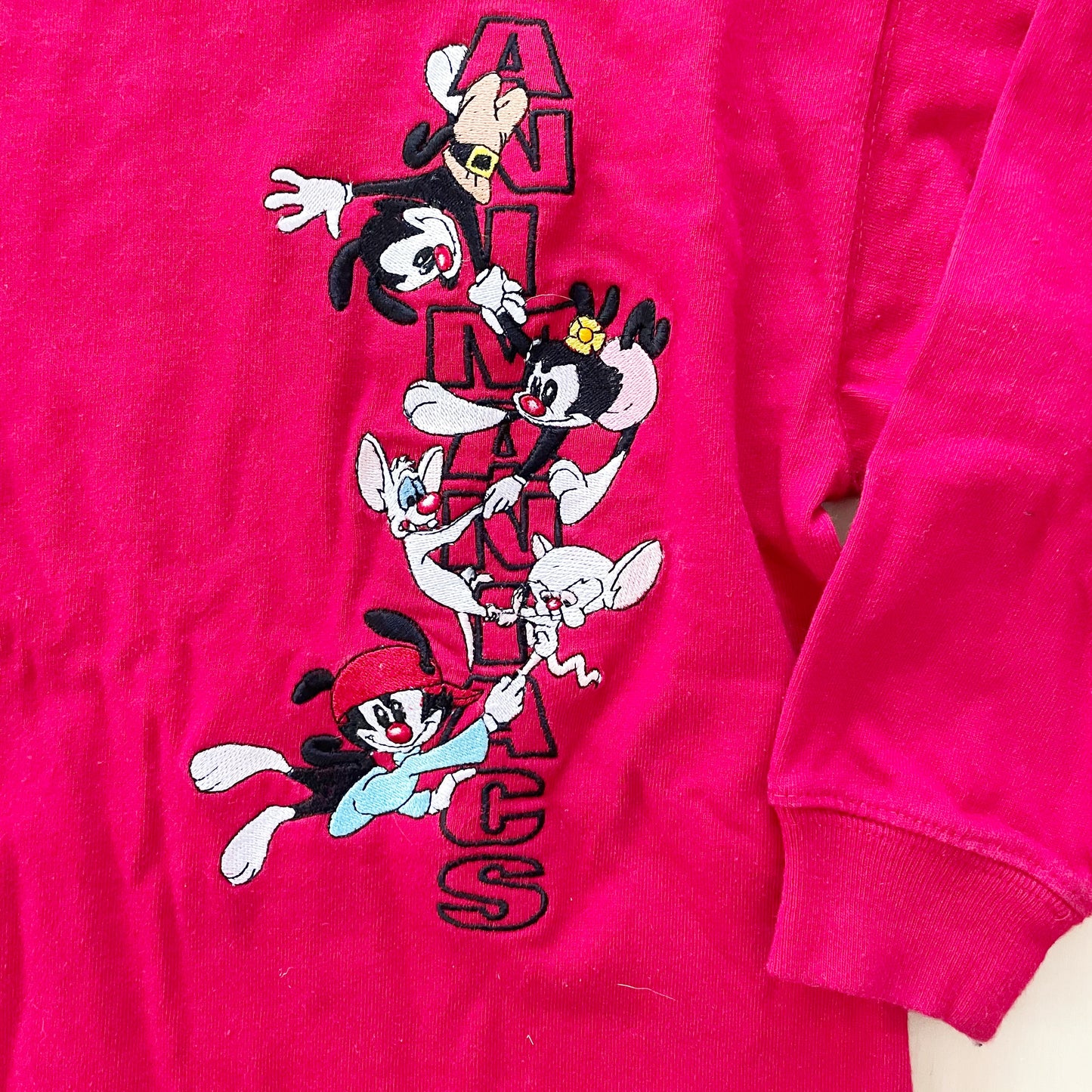 Animaniacs Embroidered Tee - Yellow Clover Vintage Kids Clothes