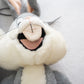 Bugs Bunny and Sylvester Pair